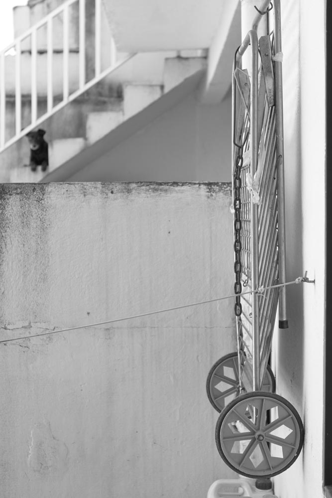 Varal de chão preso à parede do quintal da casa de Roza, com a escada e um cachorro ao fundo.